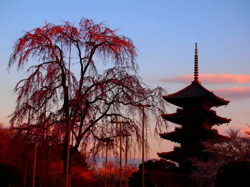 Аутентичная Япония с отдыхом на горячих источниках (6/33)