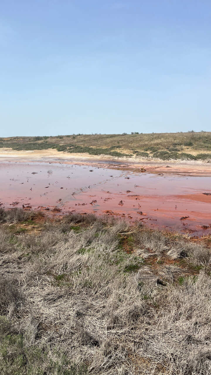 Эльтон и Баскунчак соленая пустошь (4/50)