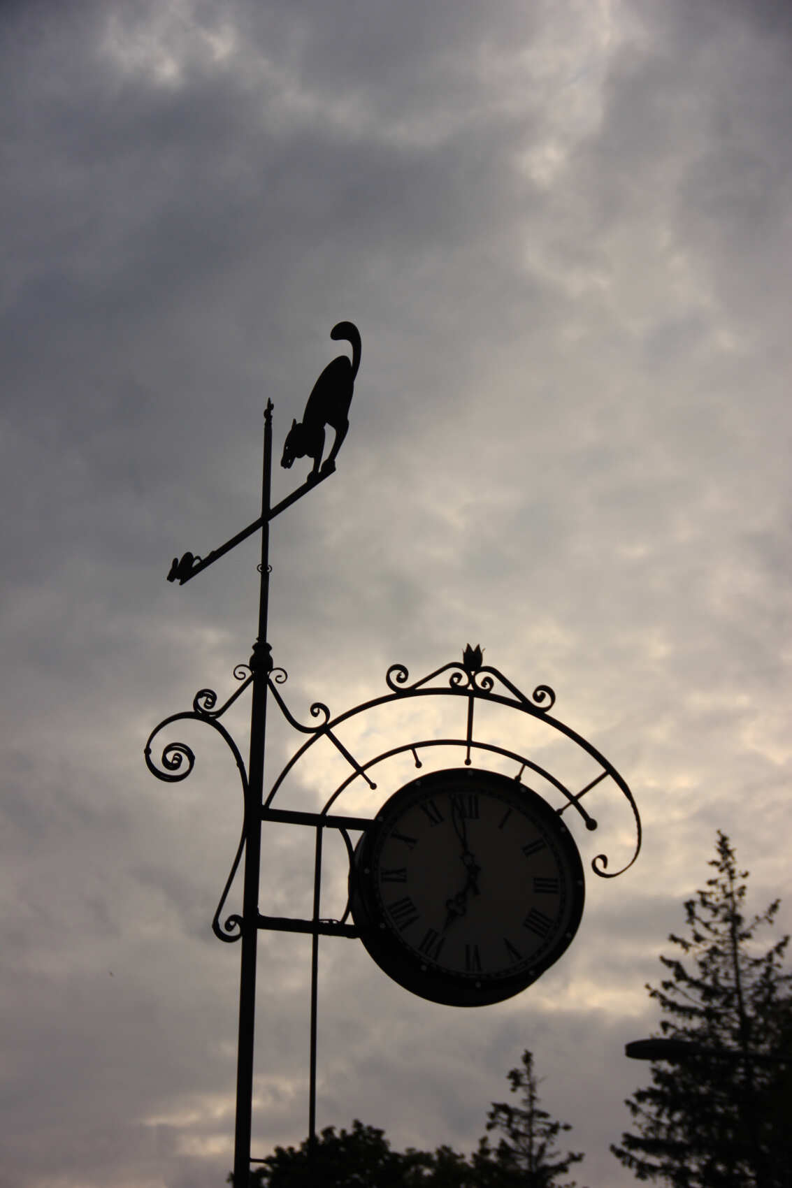 Другой Калининград (34/46)