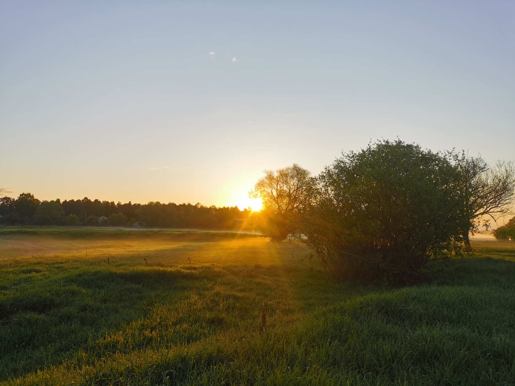 Сплав на байдарках по реке Клязьма (Подмосковье) с походной баней и казаном (14/27)