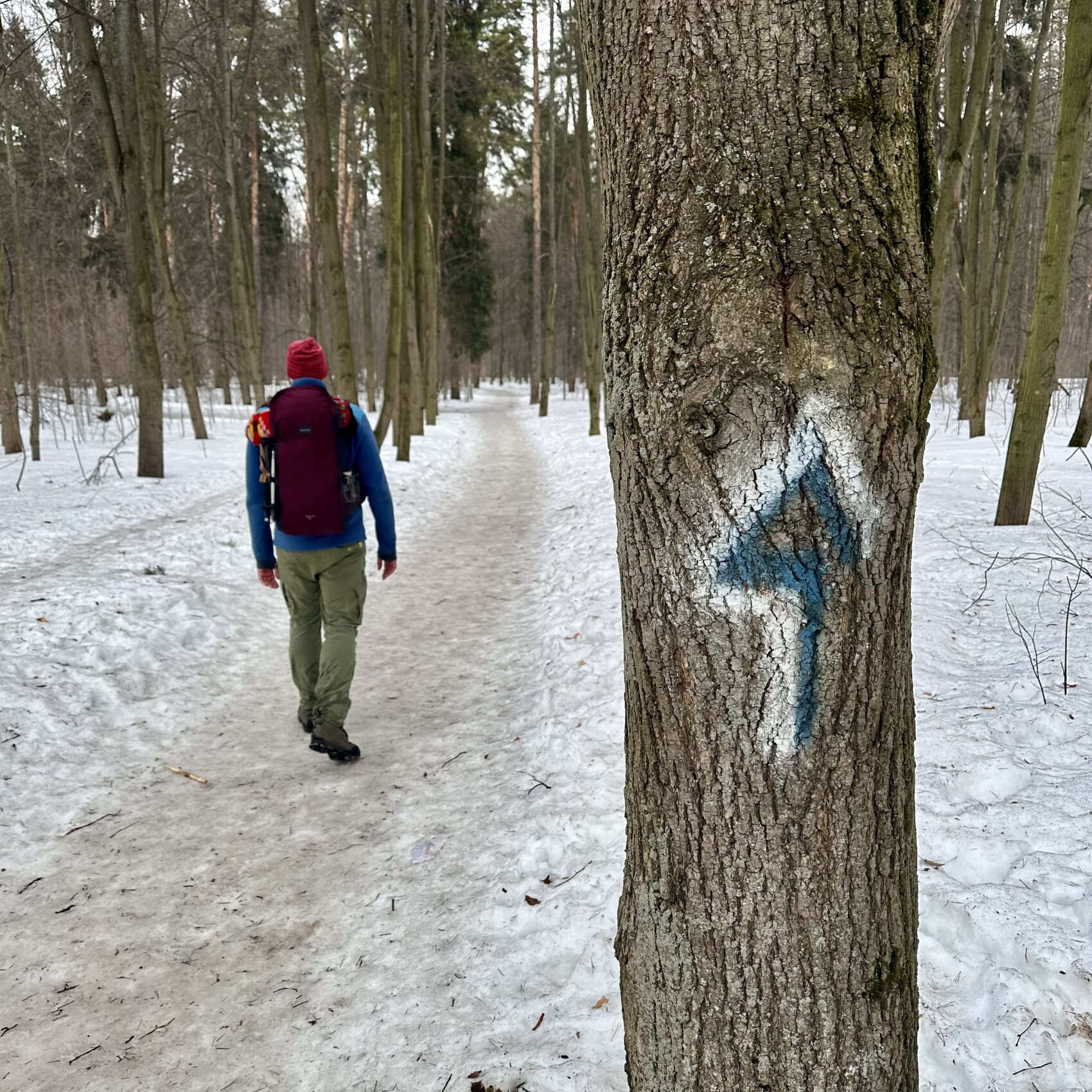 Поход Дорога в Лавру Московское море, (8/13)