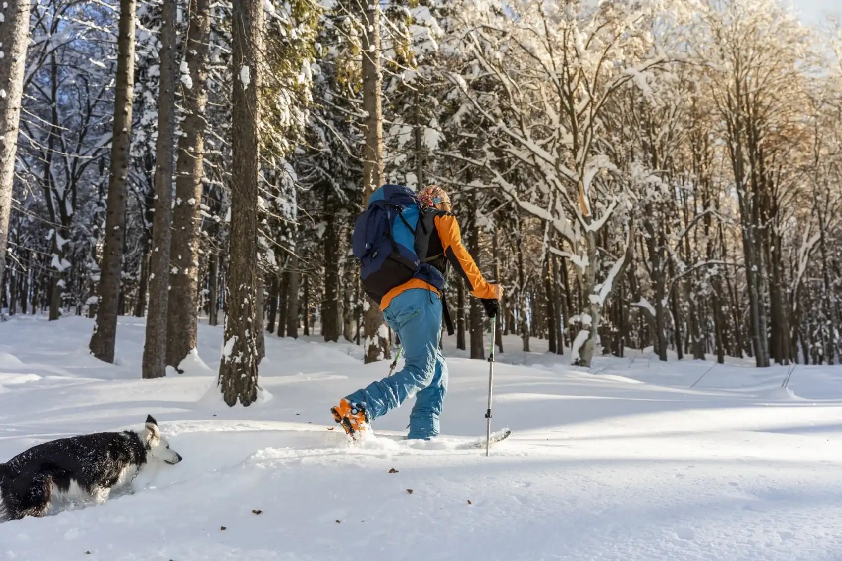 Сестрорецкое болото на лыжах. Однодневный выезд из Петербурга