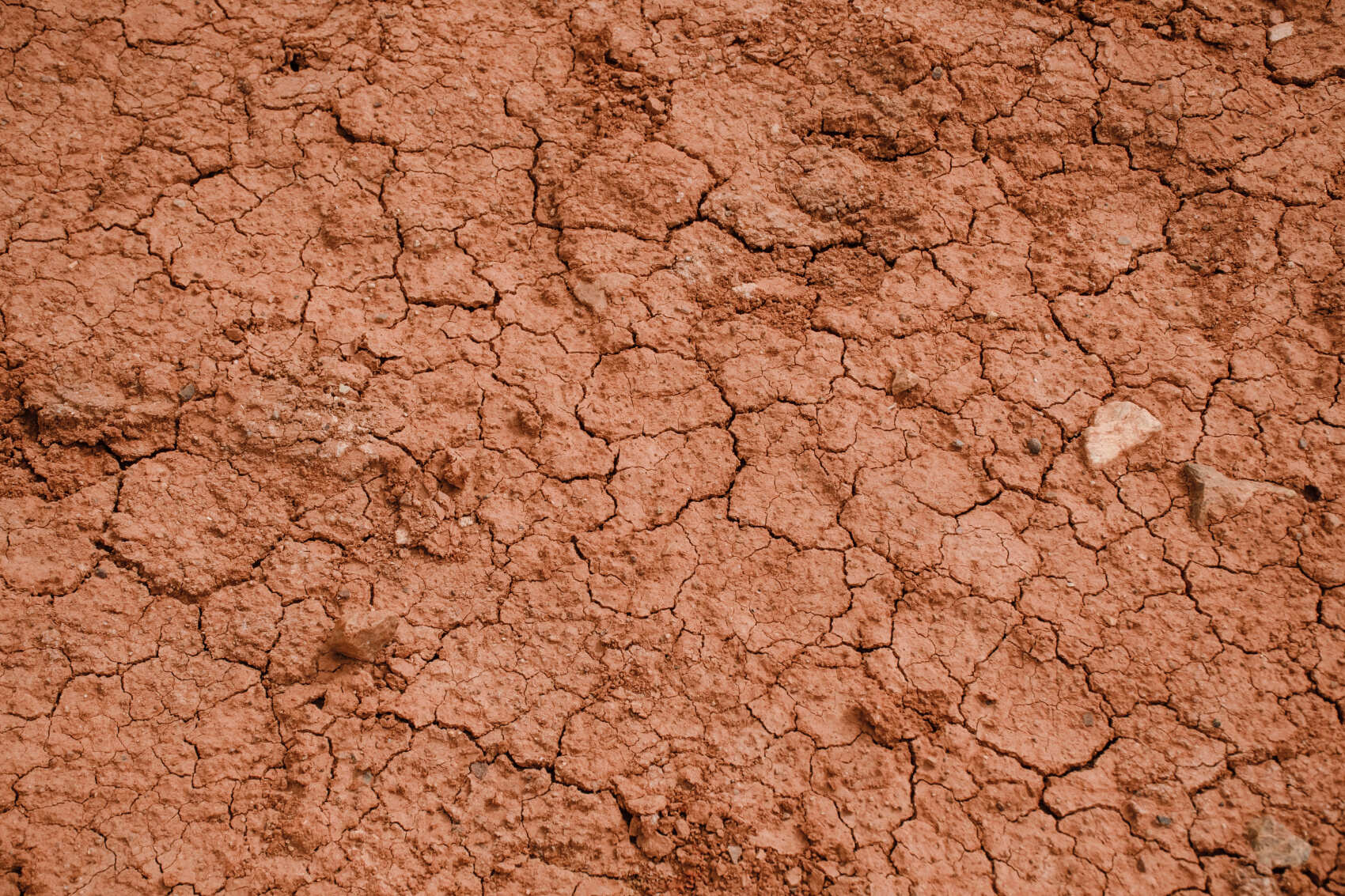  Тур по Чуйскому тракту до Алтайского Марса на 2 дня (27/38)