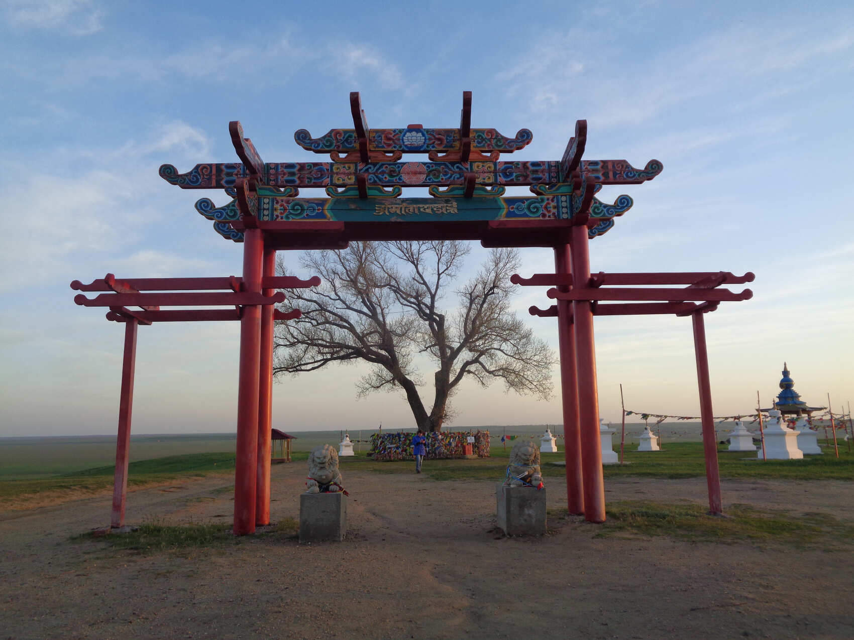 Калмыкия, тюльпанные поля, озеро Баскунчак и Золотая Элиста (5дн./5 ноч.) (9/51)