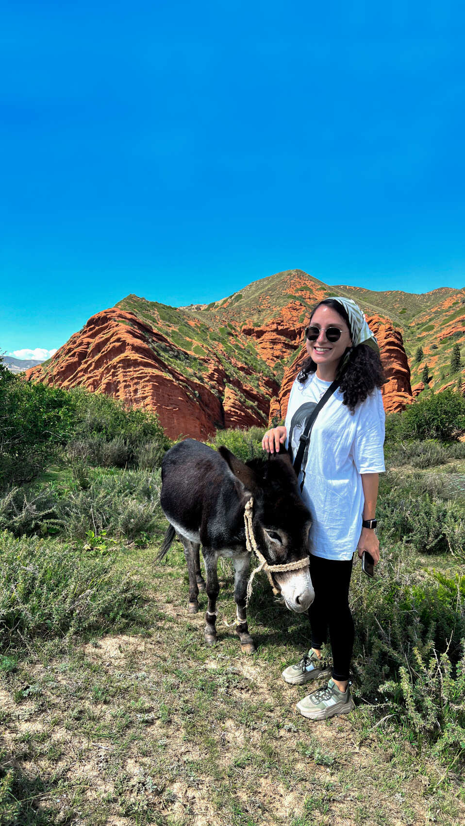 Киргизия на «All Inclusive»: небесные горы и озеро Иссык-Куль  (93/117)