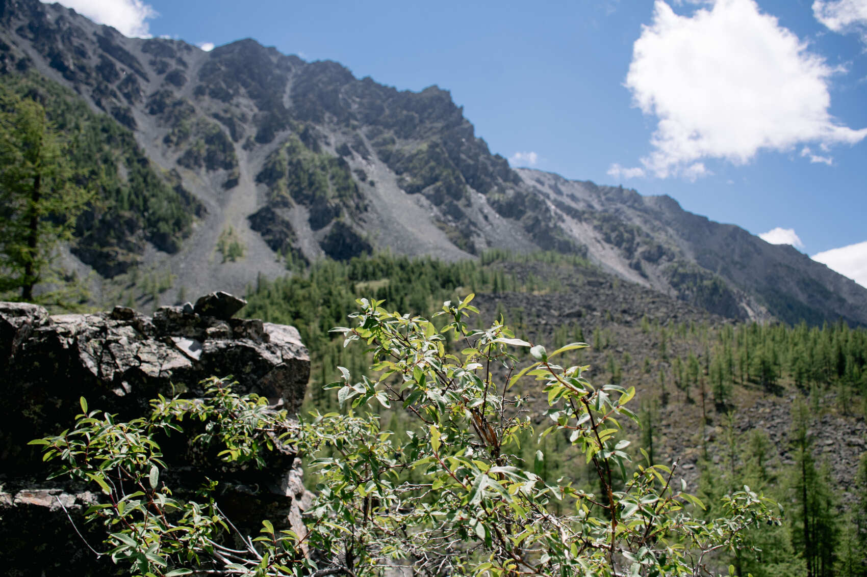 Актив-тур: конные прогулки, трекинг, Чуйский тракт! (16/63)