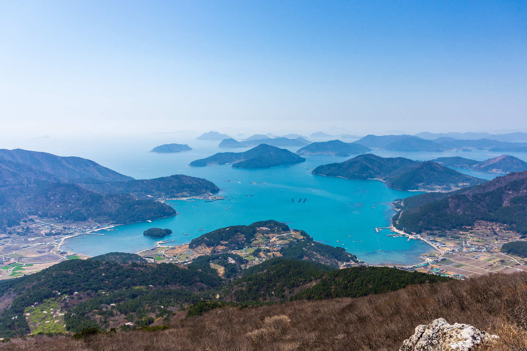 Южная Корея. Сакура в утренней свежести (22/34)