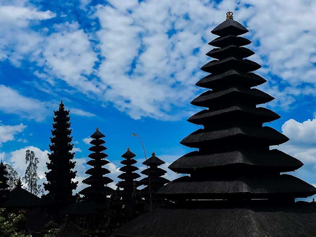 5 островов Индонезии (Бали, Нуса Пенида, Ява, Флорес, Комодо) 13 дней (25/122)