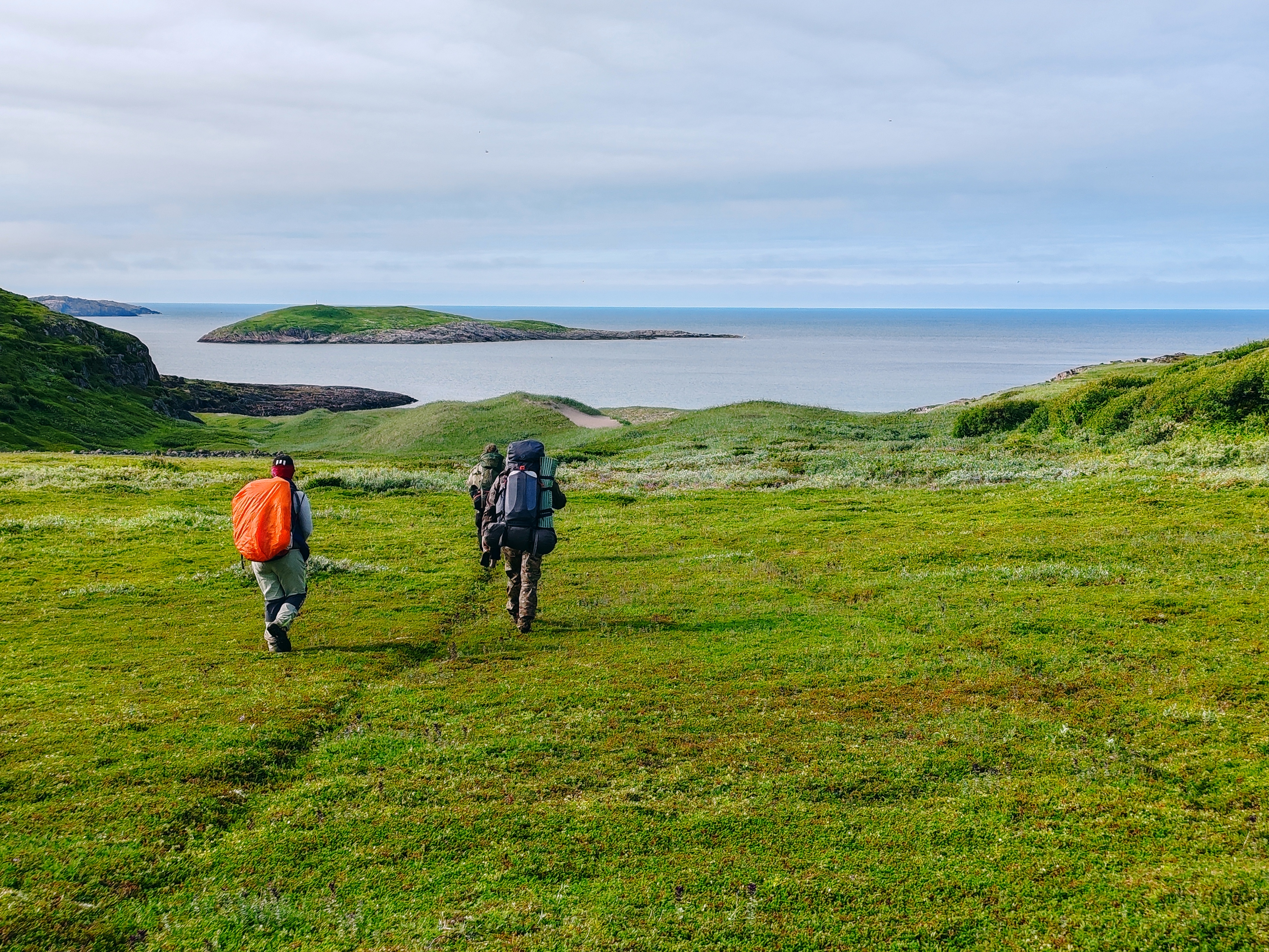 Я организую пешие походы по Кольскому полуострову. Мои направления Хибины и побережье Баренцева моря. Уровни походов от новичка до опытного туриста.  