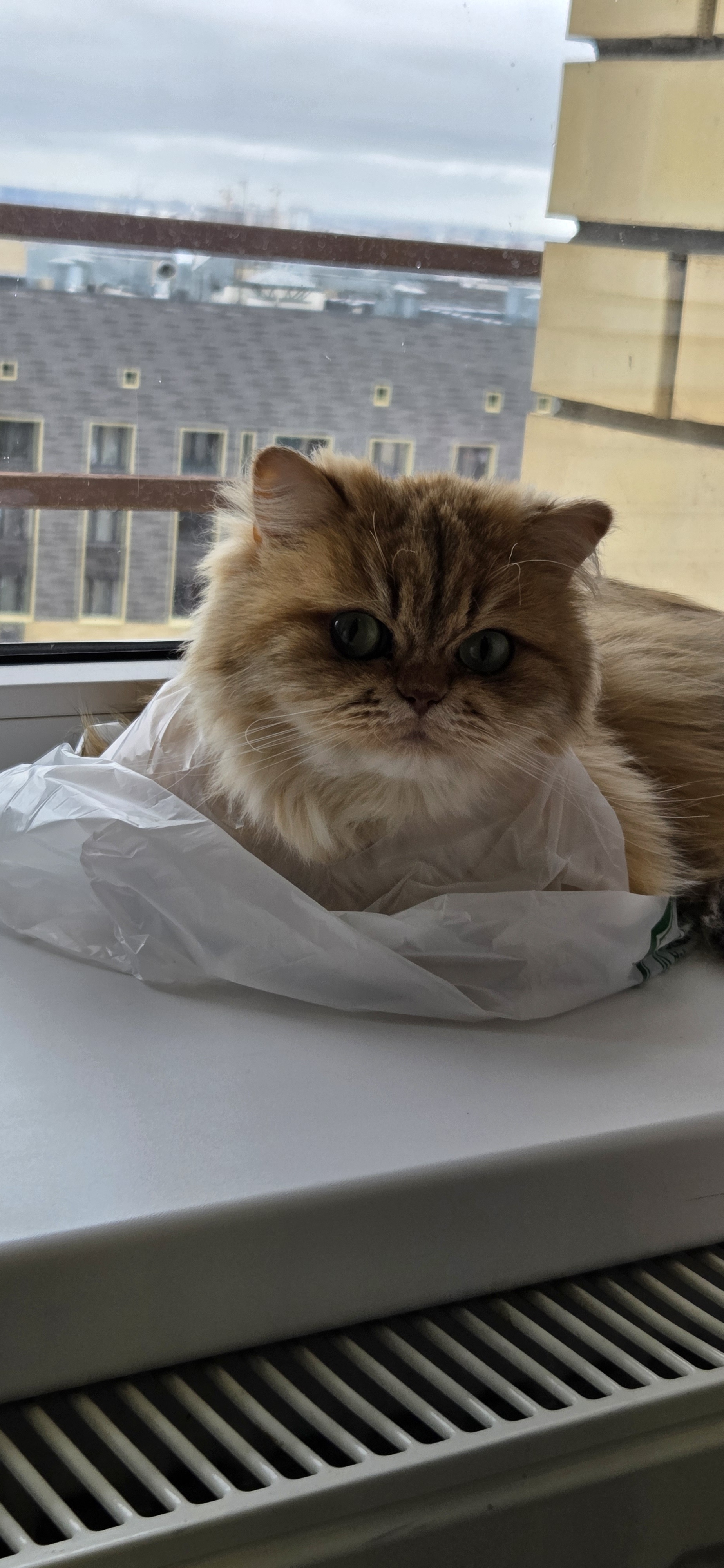 Анна