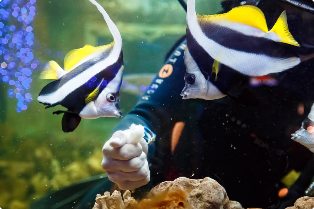 Океанариум