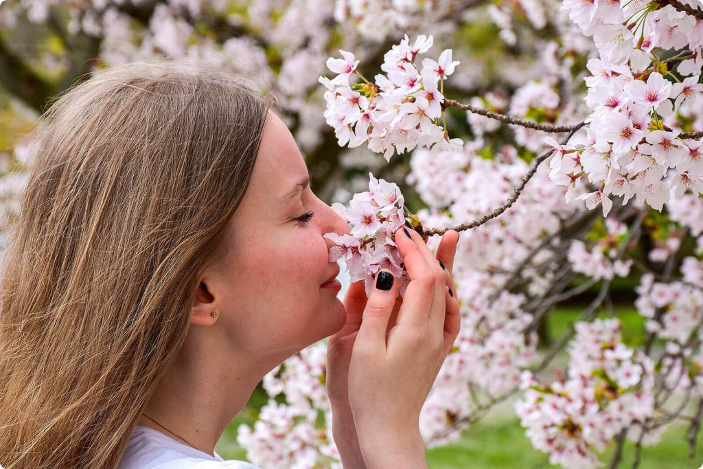 Девушка и цветы
