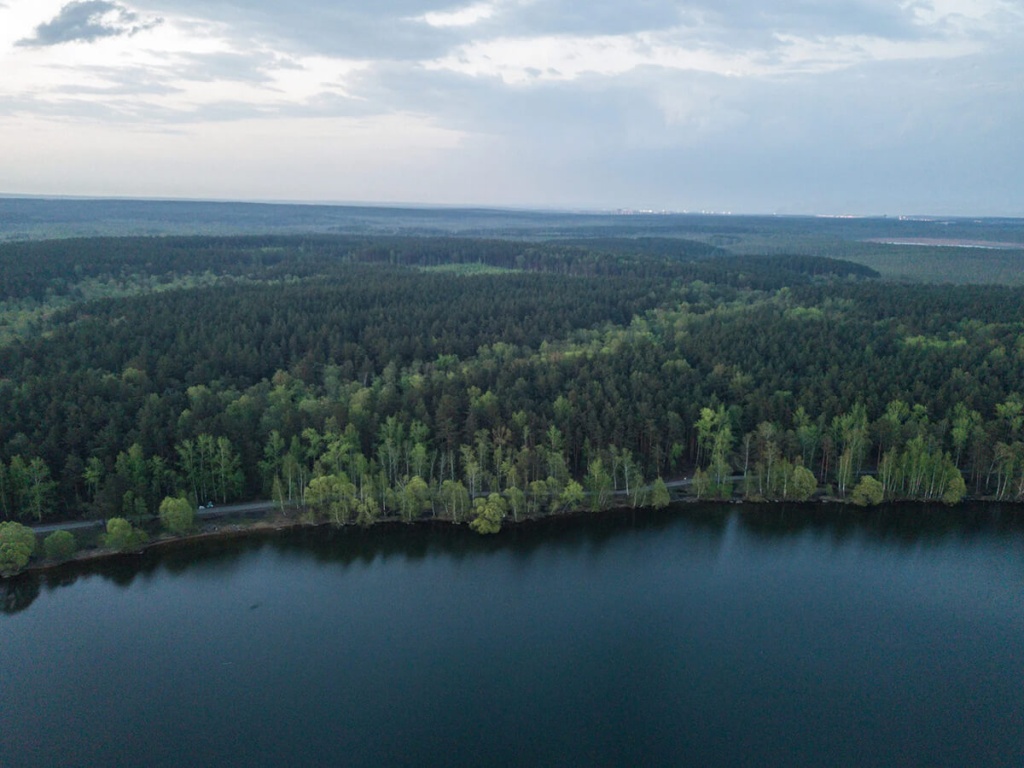 озеро и лес