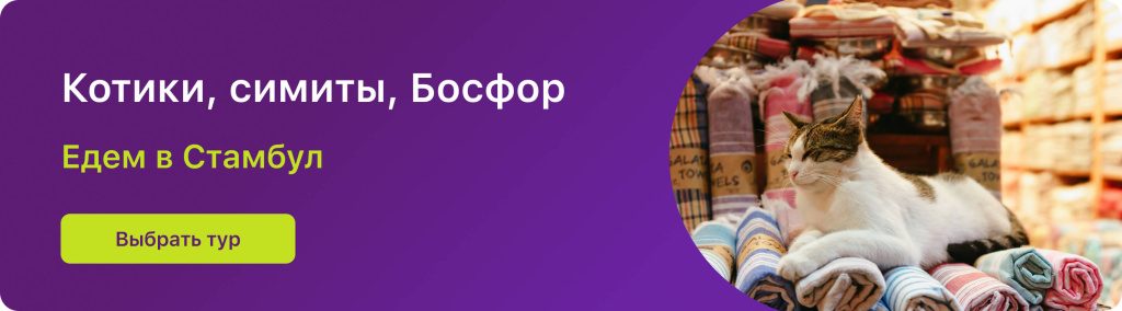 Котики, симиты, Босфор