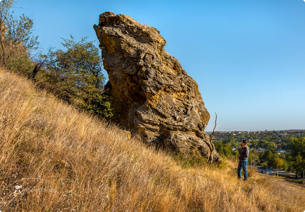Скала в виде лягушки