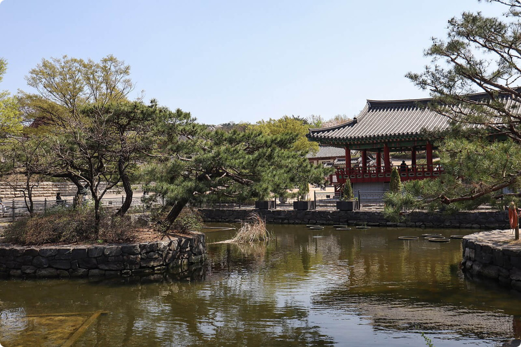 Водоем и здание