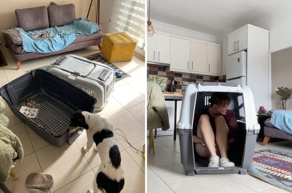 Клетка для перевозки