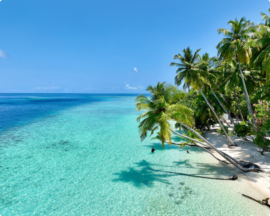 Пляж и пальмы