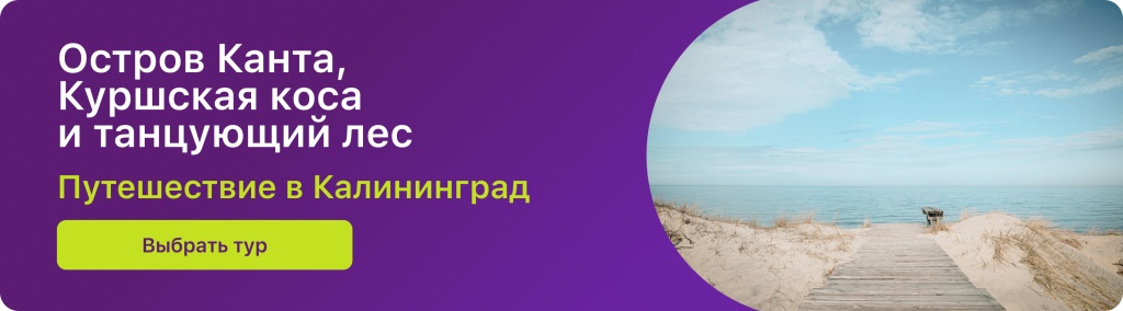 Остров Канта, Куршская коса и танцующий лес