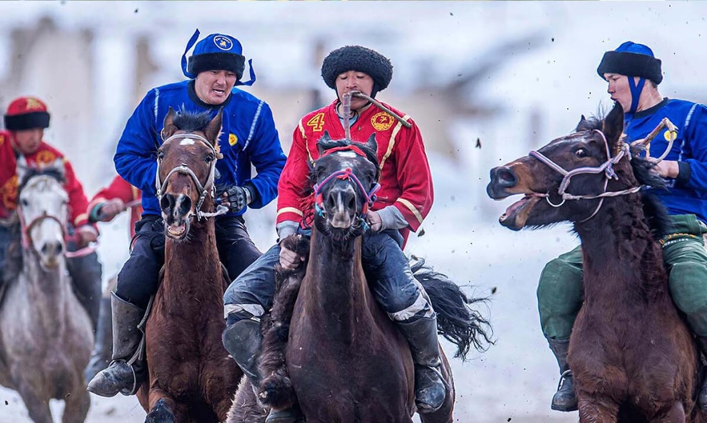 Лошади и наездники