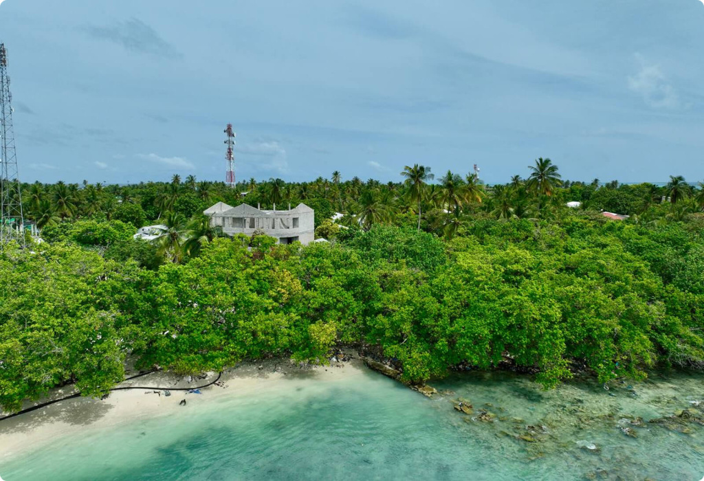 Пляж и деревья