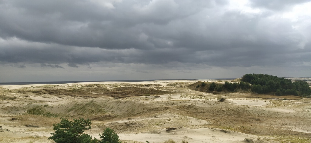 Куршская коса