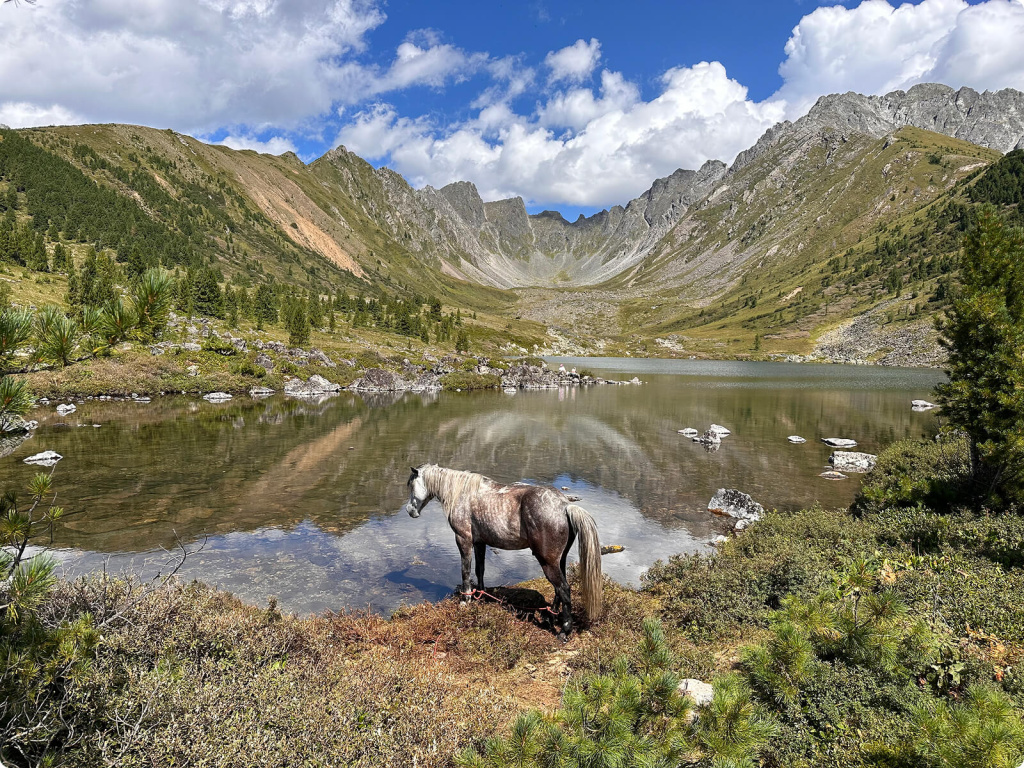 Озеро, горы и лошадь