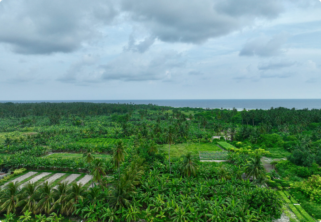 Сад и огород