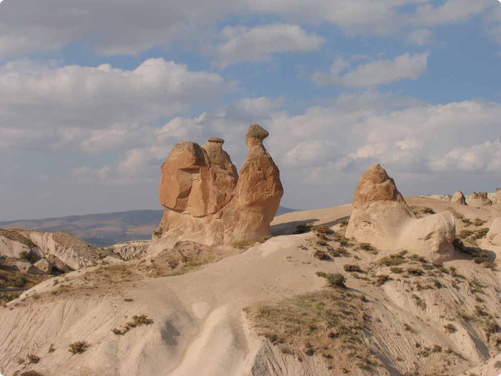 Фигура верблюда