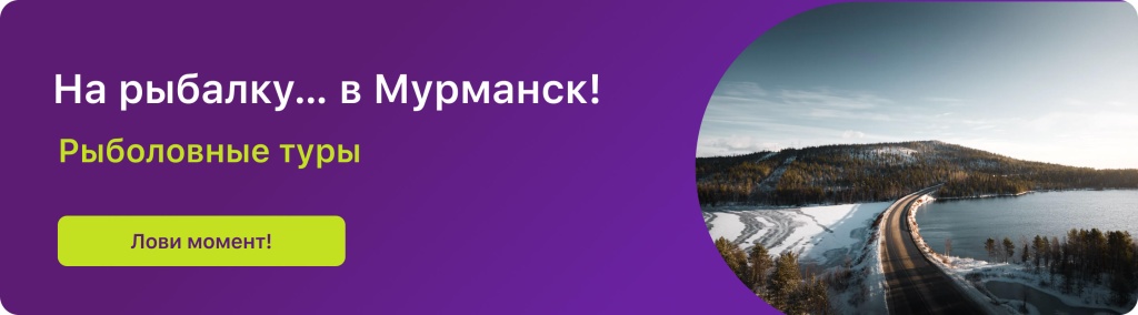 На рыбалку… в Мурманск! 