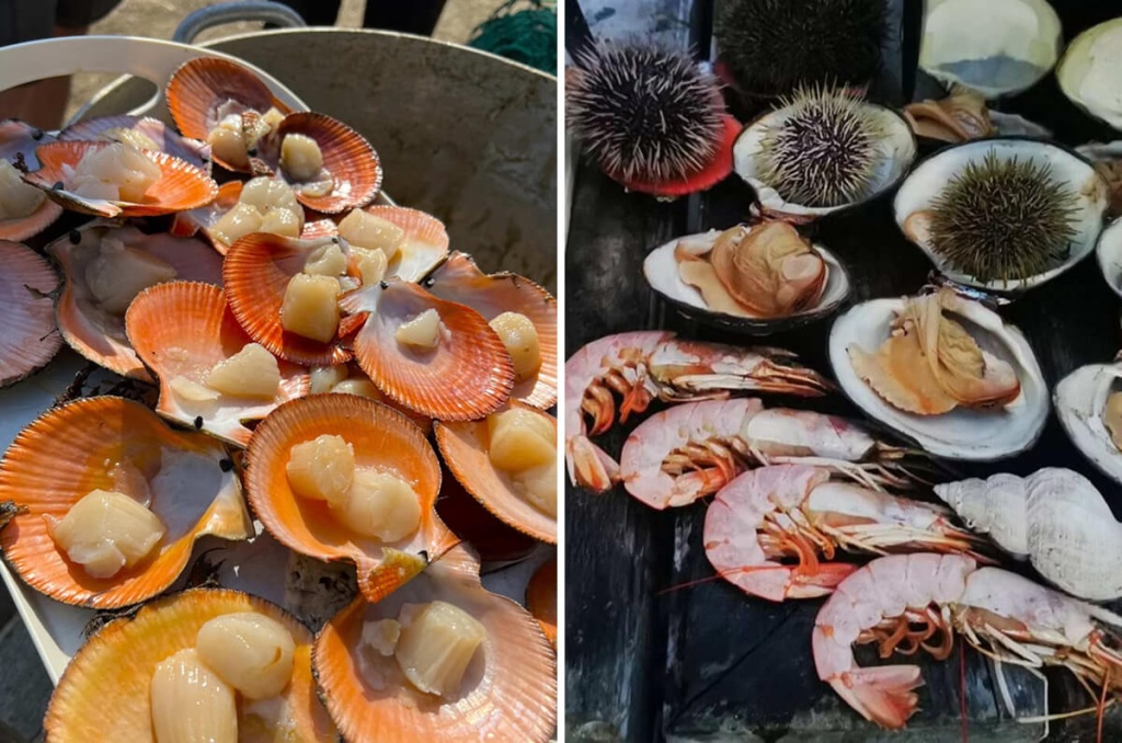 Морепродукты