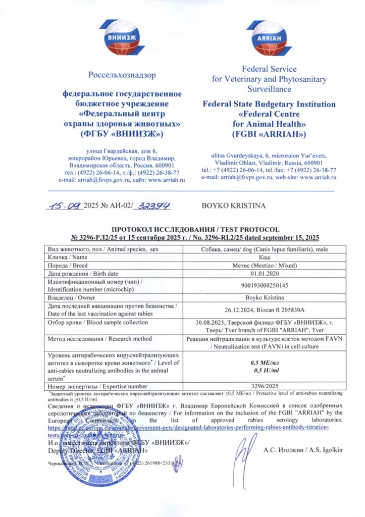 Документ