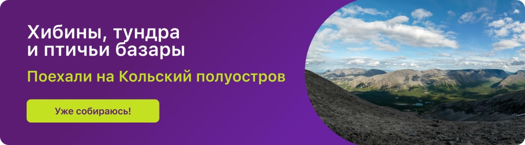 Хибины, тундра и птичьи базары