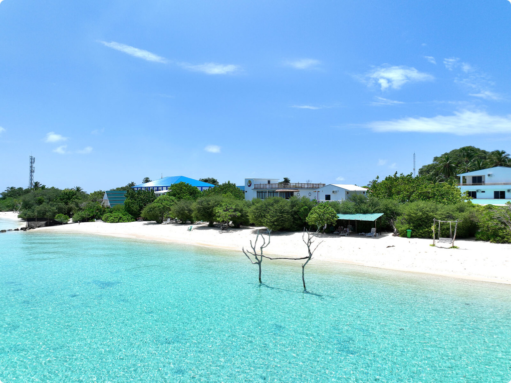 Пляж и дома