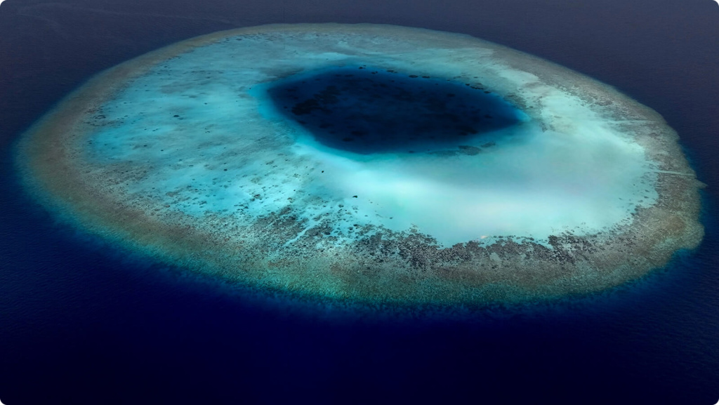 Коралловый риф