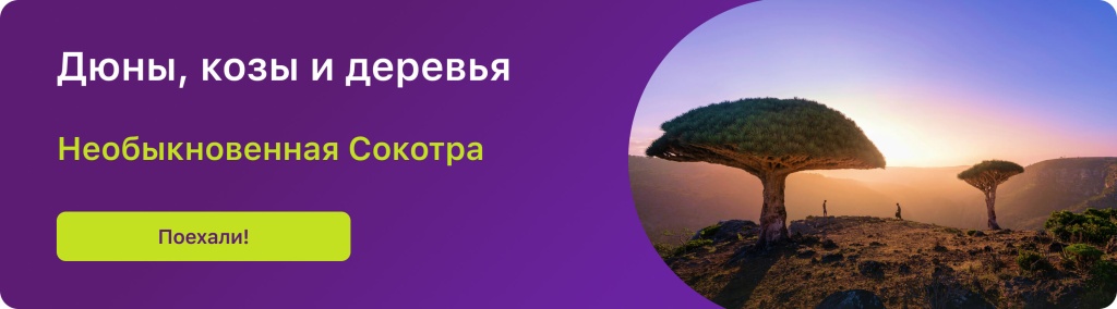 Дюны, козы и деревья 