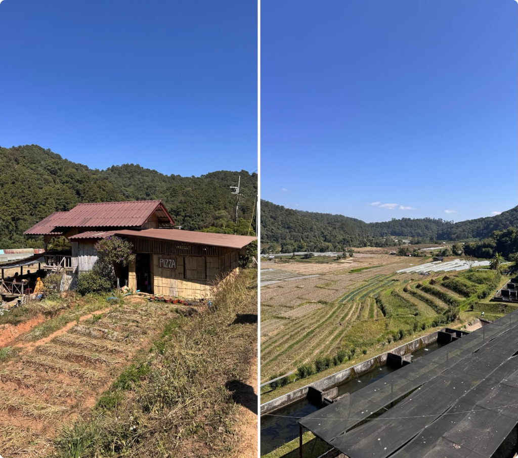 Рисовые террасы