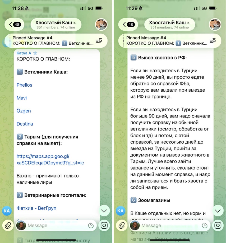 Чат