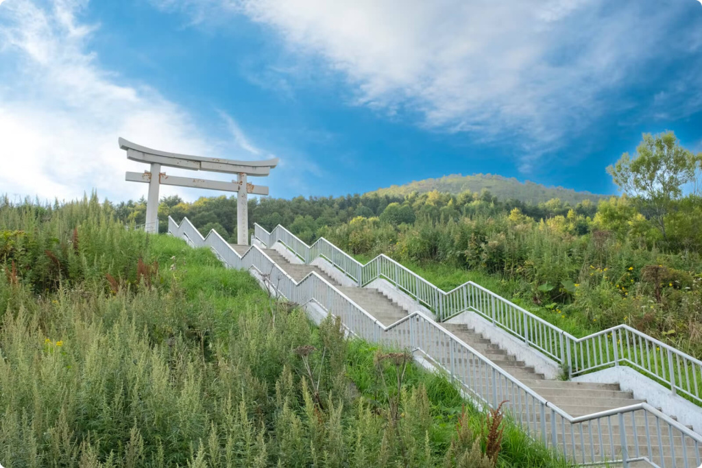 Лестница и ворота