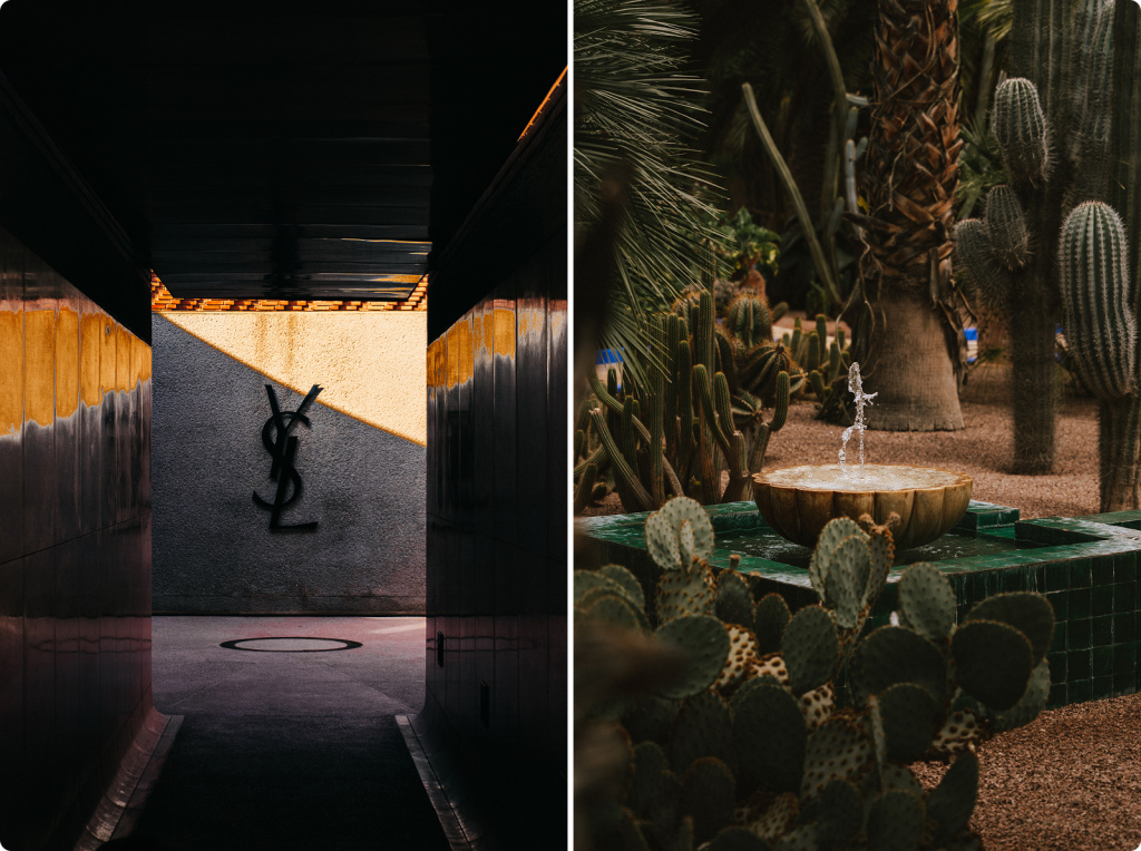 Кактусы и фонтан