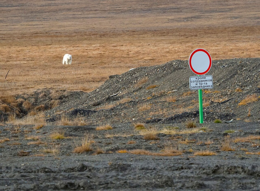 Остров