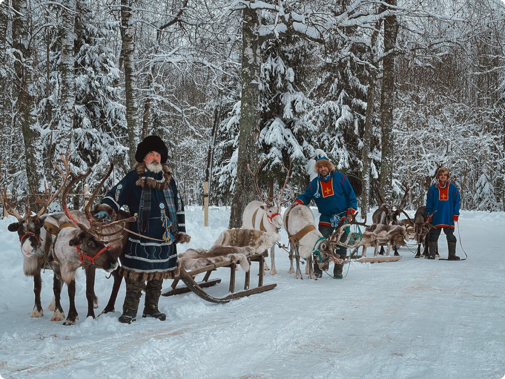 Олени