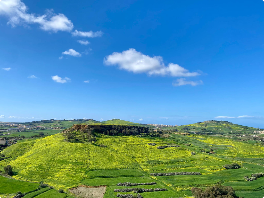 Холмы и поля