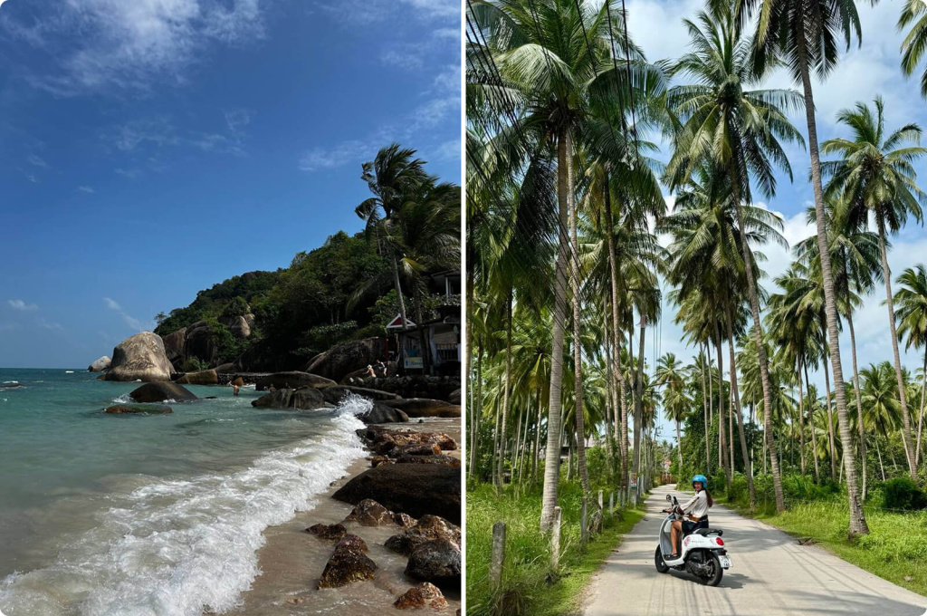 Пляж и пальмы