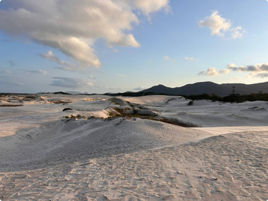 Песчаные дюны