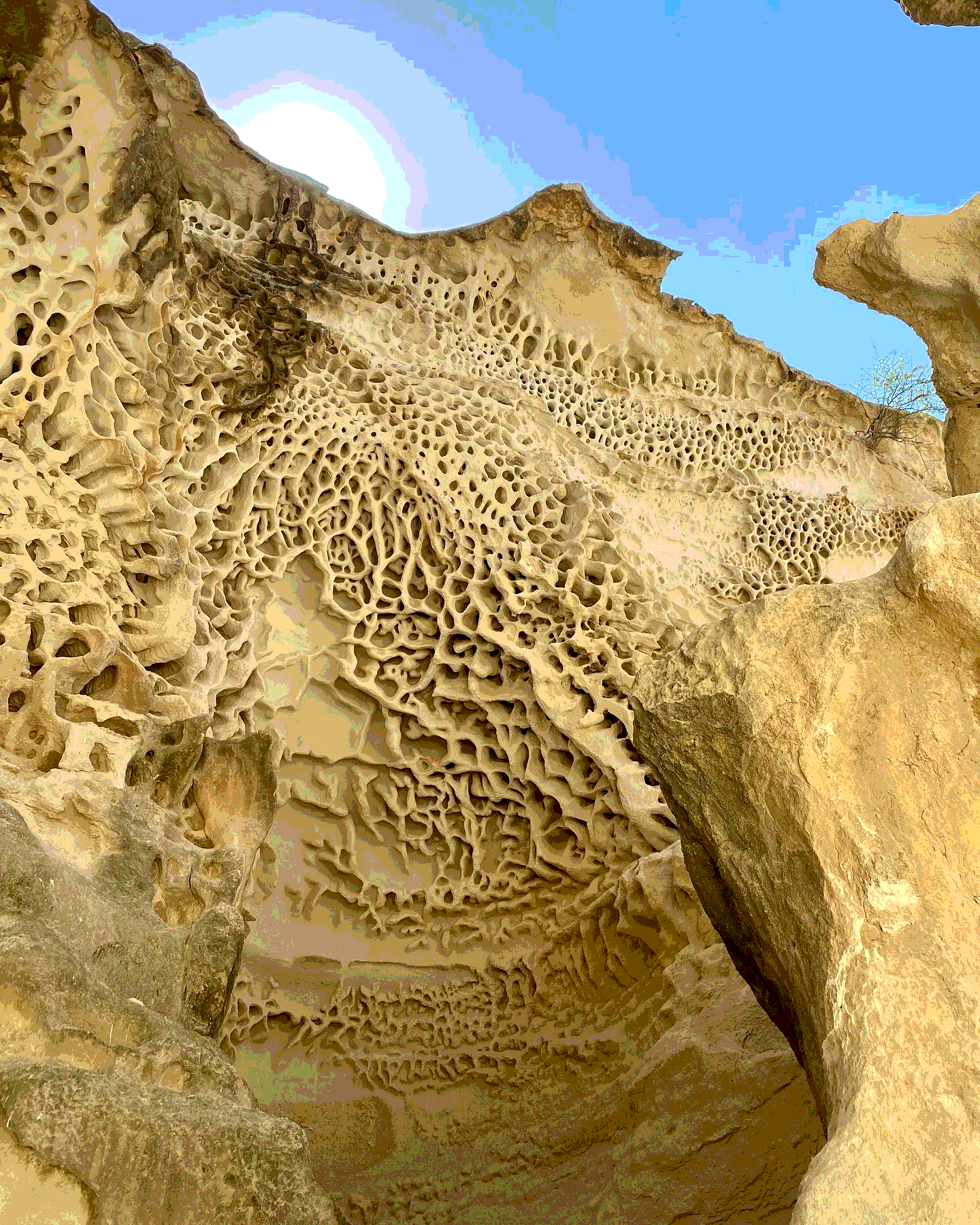 Мангистау. Другая планета (13/13)