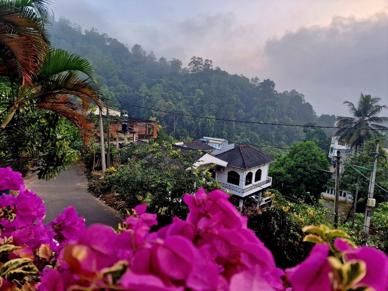 Остров гармонии