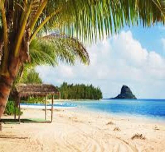 Алоха, Гавайи! (31/33)