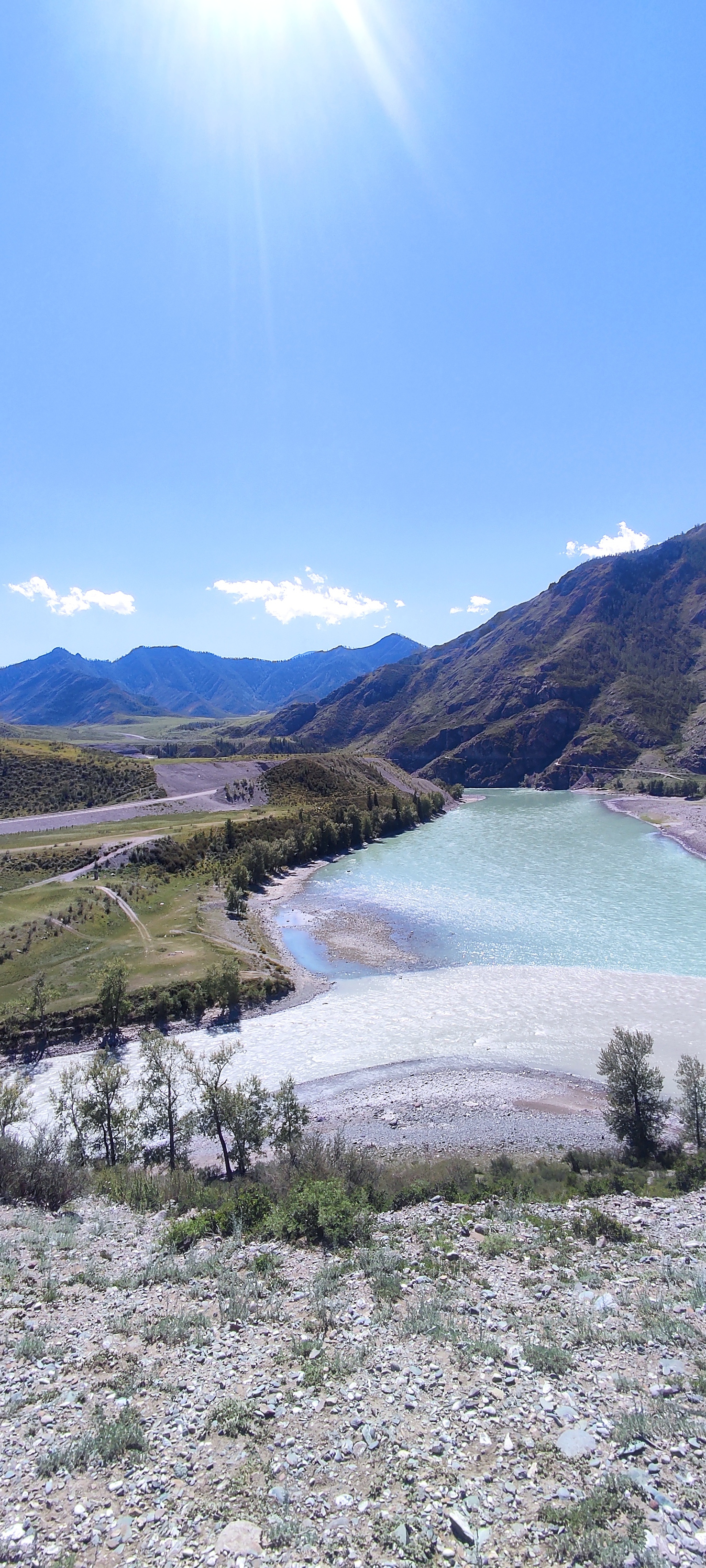 Цветение Маральника - Сиреневые горы Алтая (8/18)