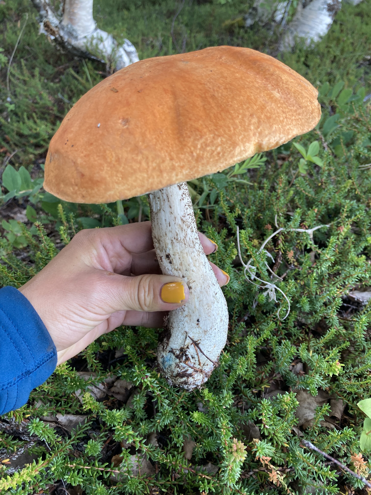 Река Кереть и безграничное Белое море (15/35)